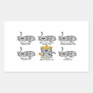Sticker Rectangulaire Ce que le chat pense drôle