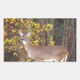 Sticker Rectangulaire Cerf devant l'arbre d'automne jaune