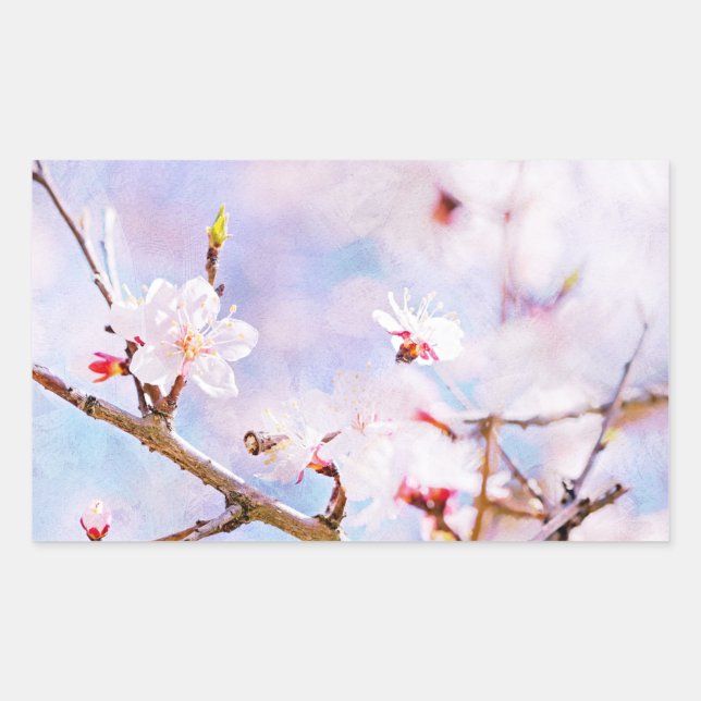 Sticker Rectangulaire Cerise Japonaise - Sakura En Fleur (Devant)