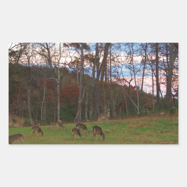 Sticker Rectangulaire Champ de cerf et un SunSet rose (Devant)