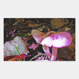Sticker Rectangulaire Champignons roses