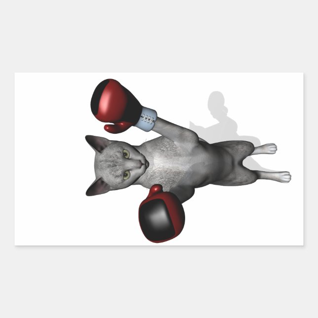 Sticker Rectangulaire Chat de boîte (Devant)