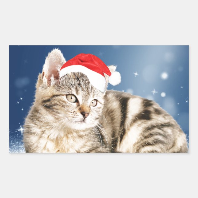 Sticker Rectangulaire Chat mignon portant chapeau de Noël rouge neige (Devant)
