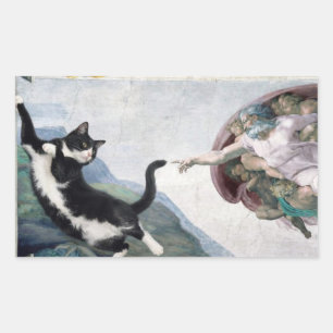Sticker Rectangulaire Chat Tuxedo touchant la patte divine