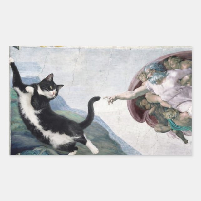 Sticker Rectangulaire Chat Tuxedo touchant la patte divine (Devant)