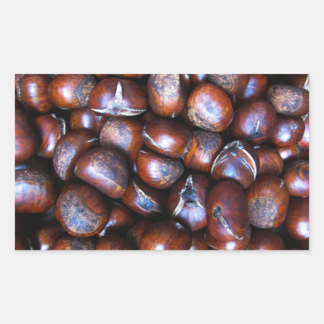 Sticker Rectangulaire Châtaignes (Devant)