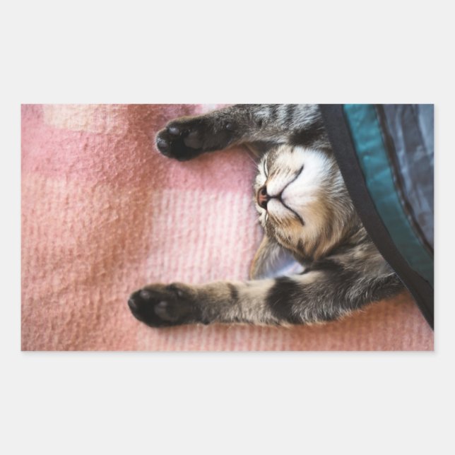 Sticker Rectangulaire Chaton à neige (Devant)