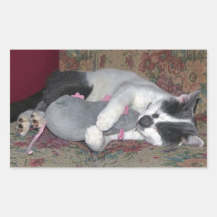 Sticker Rectangulaire Chaton couchant