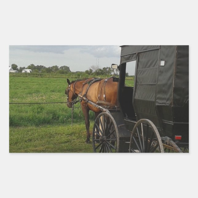 Sticker Rectangulaire Cheval Amish et Buggy au coucher du soleil (Devant)