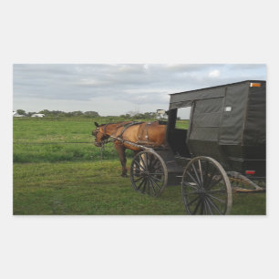 Sticker Rectangulaire Cheval Amish et Buggy au coucher du soleil
