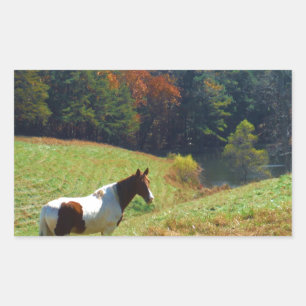Sticker Rectangulaire Cheval blanc et Brown, étang d'automne
