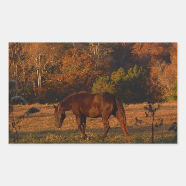 Sticker Rectangulaire Cheval Brown rouge, bois d'automne. (Devant)