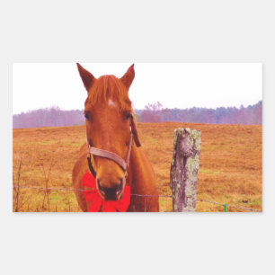 Sticker Rectangulaire Cheval de Noël avec arc & bas