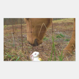 Sticker Rectangulaire cheval et fleur de printemps Bunny