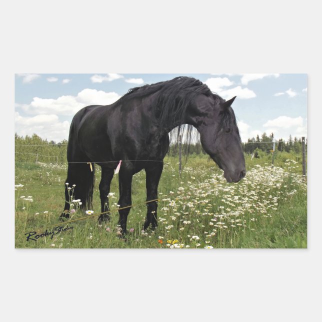 Sticker Rectangulaire Cheval noir (Devant)