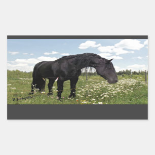 Sticker Rectangulaire Cheval noir