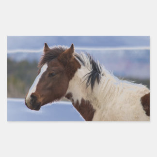 Sticker Rectangulaire Cheval Tri Coloré