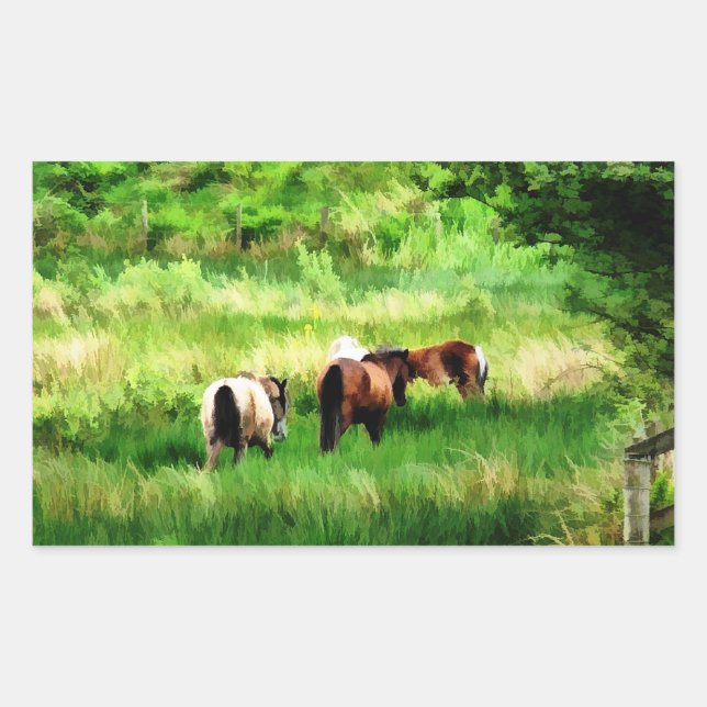 STICKER RECTANGULAIRE CHEVAUX (Devant)