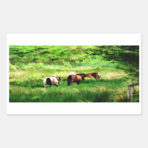 STICKER RECTANGULAIRE CHEVAUX
