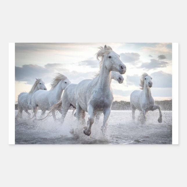 Sticker Rectangulaire Chevaux blancs (Devant)