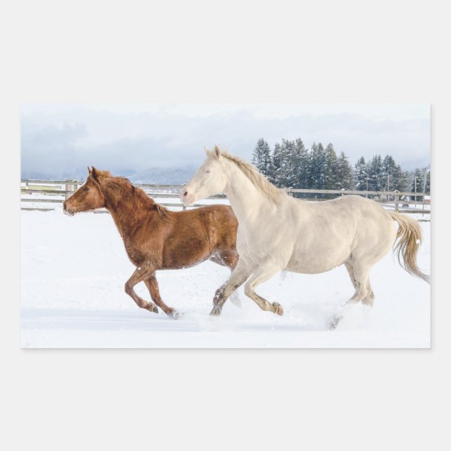 STICKER RECTANGULAIRE CHEVAUX ENSEMBLE (Devant)