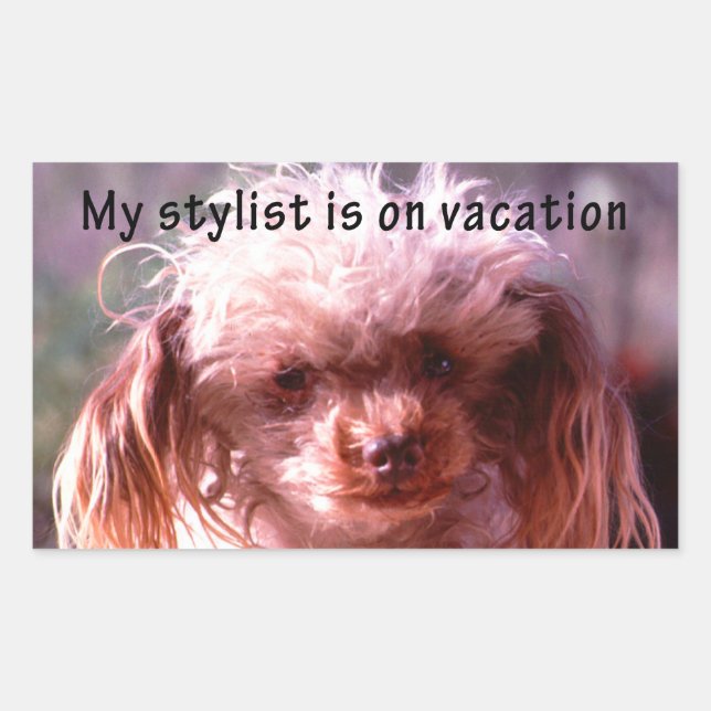 Sticker Rectangulaire Chien à cheveux shaggy (Devant)