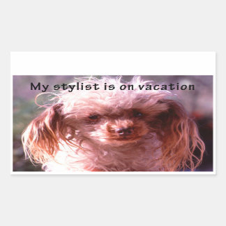 Sticker Rectangulaire Chien à cheveux shaggy