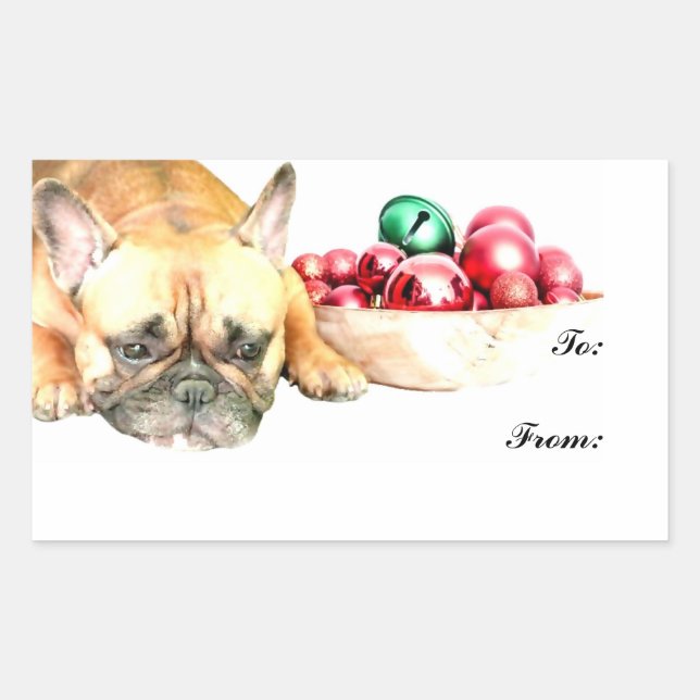 Sticker Rectangulaire Chien de taule français de Noël (Devant)