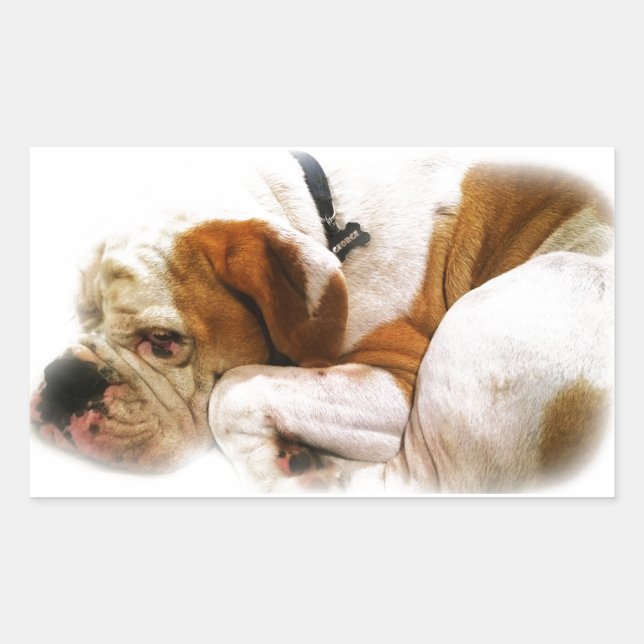 Sticker Rectangulaire Chien descendant (Devant)