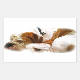 Sticker Rectangulaire Chien descendant