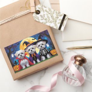 Sticker Rectangulaire Chiens maltais Citrouille Halloween drôle
