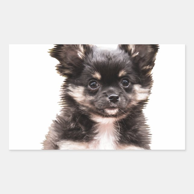 Sticker Rectangulaire Chihuahua Chien chiot (Devant)