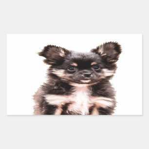 Sticker Rectangulaire Chihuahua Chien chiot