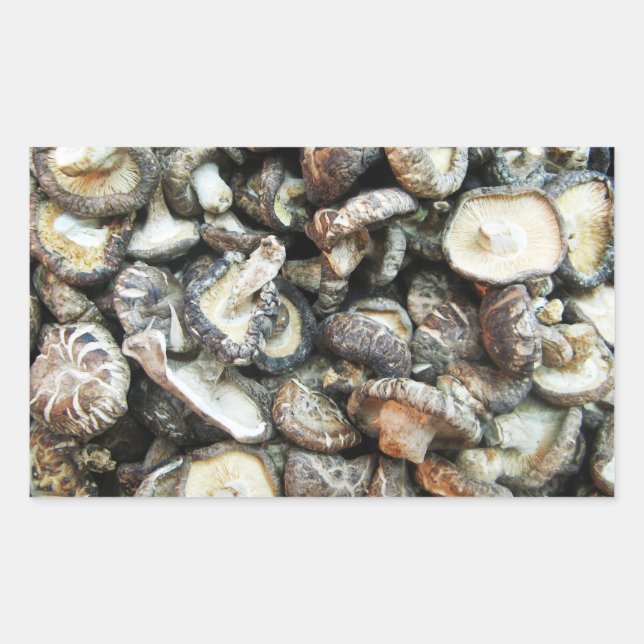 Sticker Rectangulaire Chiitake Musrooms (Devant)