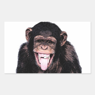 Sticker Rectangulaire Chimpanzé