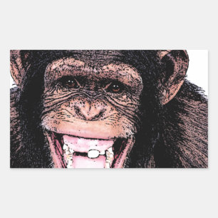 Sticker Rectangulaire Chimpanzé