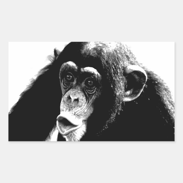 Sticker Rectangulaire Chimpanzé noir blanc (Devant)