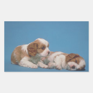 Sticker Rectangulaire Chiots espagnols Cavalier King Charles