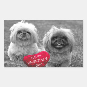 Sticker Rectangulaire Chiots Pekingese souhaitant Heureuse Sainte-Valent