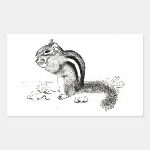 Sticker Rectangulaire Chipmunk