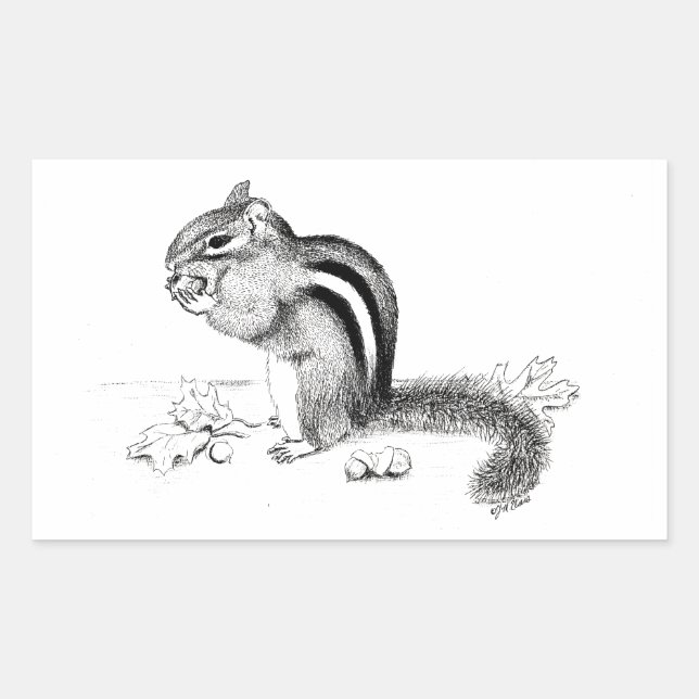 Sticker Rectangulaire Chipmunk (Devant)