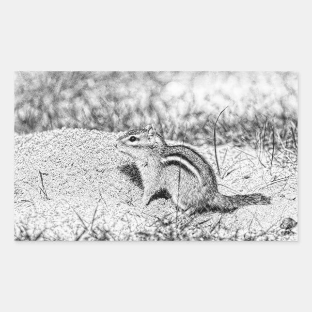 Sticker Rectangulaire Chipmunk Sketch (Devant)
