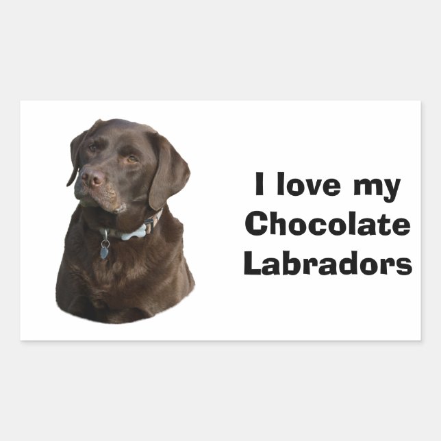 Sticker Rectangulaire Chocolate Labrador dog photo (Devant)