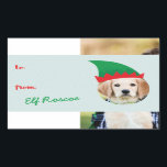 Sticker Rectangulaire Christmas Crew Elf Casquette Photo Holiday Étiquet<br><div class="desc">Marquez vos cadeaux avec un autocollant léger et amusant qui vous met dans un casquette elfe idiot. Pour que vos photos correspondent à l'espace nécessaire pour redimensionner ou rogner votre image à l'aide de l'outil "Modifier". Photographie � Shanna Russell Photographie,  San Antonio TX</div>