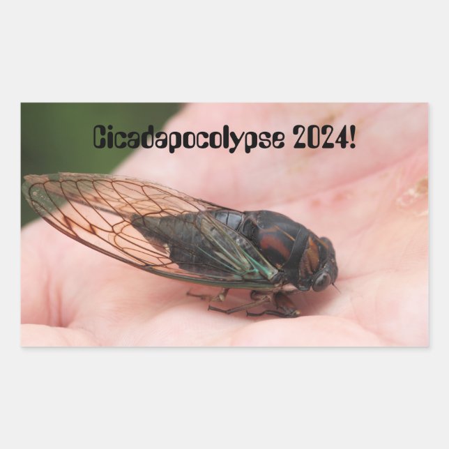 Sticker Rectangulaire Cicadapocolypse 2024 (Devant)