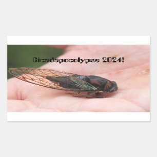 Sticker Rectangulaire Cicadapocolypse 2024