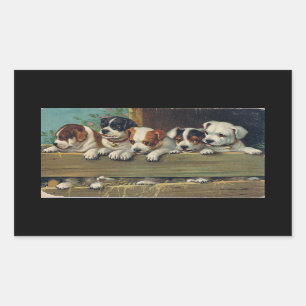 Sticker Rectangulaire Cinq Chiots Beagles