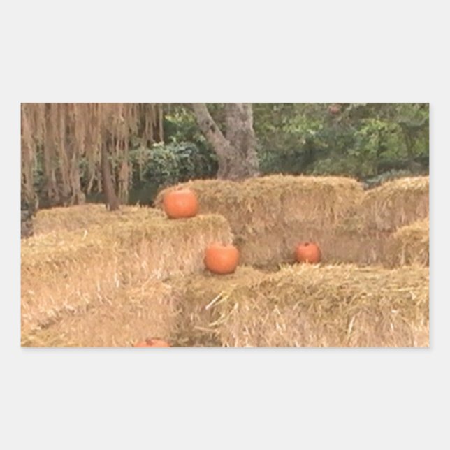 Sticker Rectangulaire Citrouilles et foin (Devant)