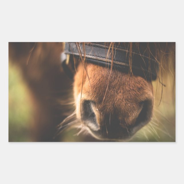 Sticker Rectangulaire Closeudo d'un mignon cheval Brown nez (Devant)