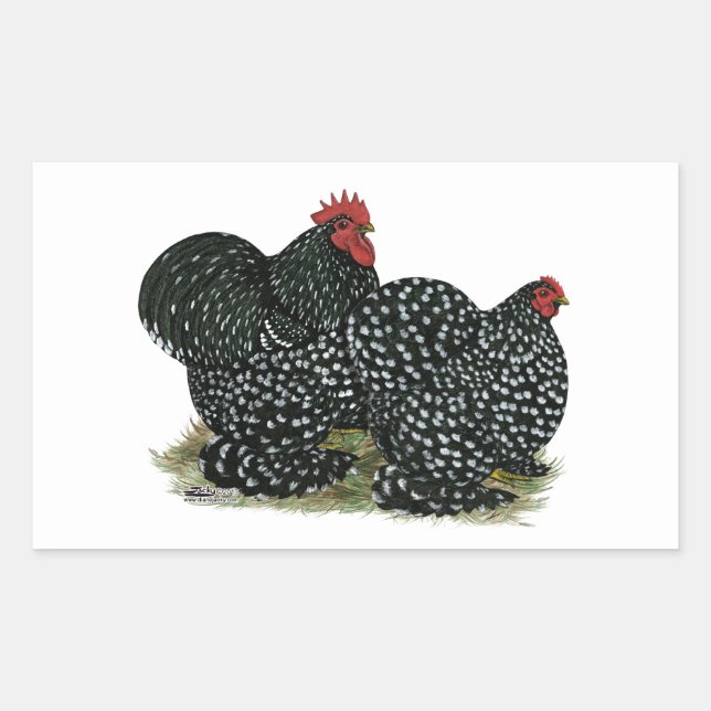 Sticker Rectangulaire Cochin Mottled (Devant)